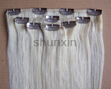 Clip in Hair Extension